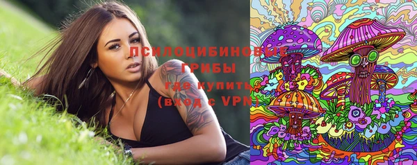 МДПВ Михайловка