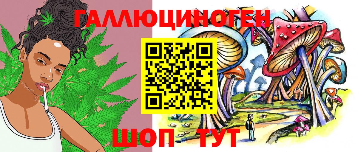 наркота  Псилоцибиновые грибы MAGIC MUSHROOMS  Вход с VPN  Махачкала 